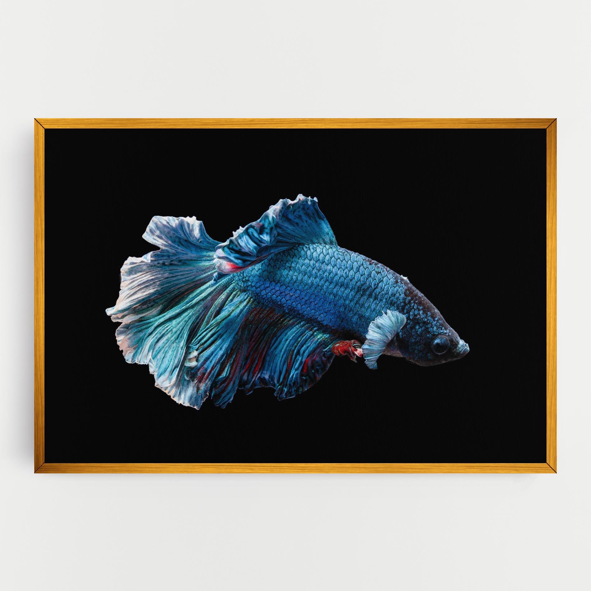 Leinwandbild Blue Betta mockup 0