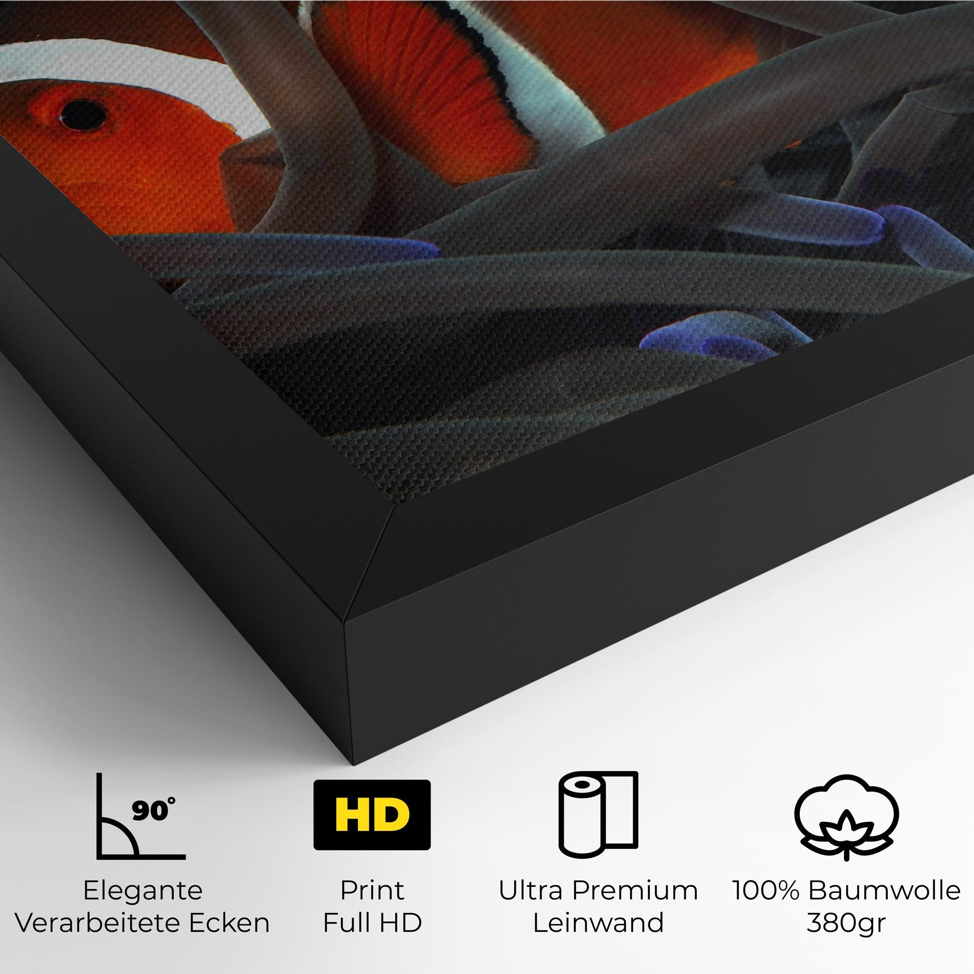 Leinwandbild Nemo Hiding mockup 4