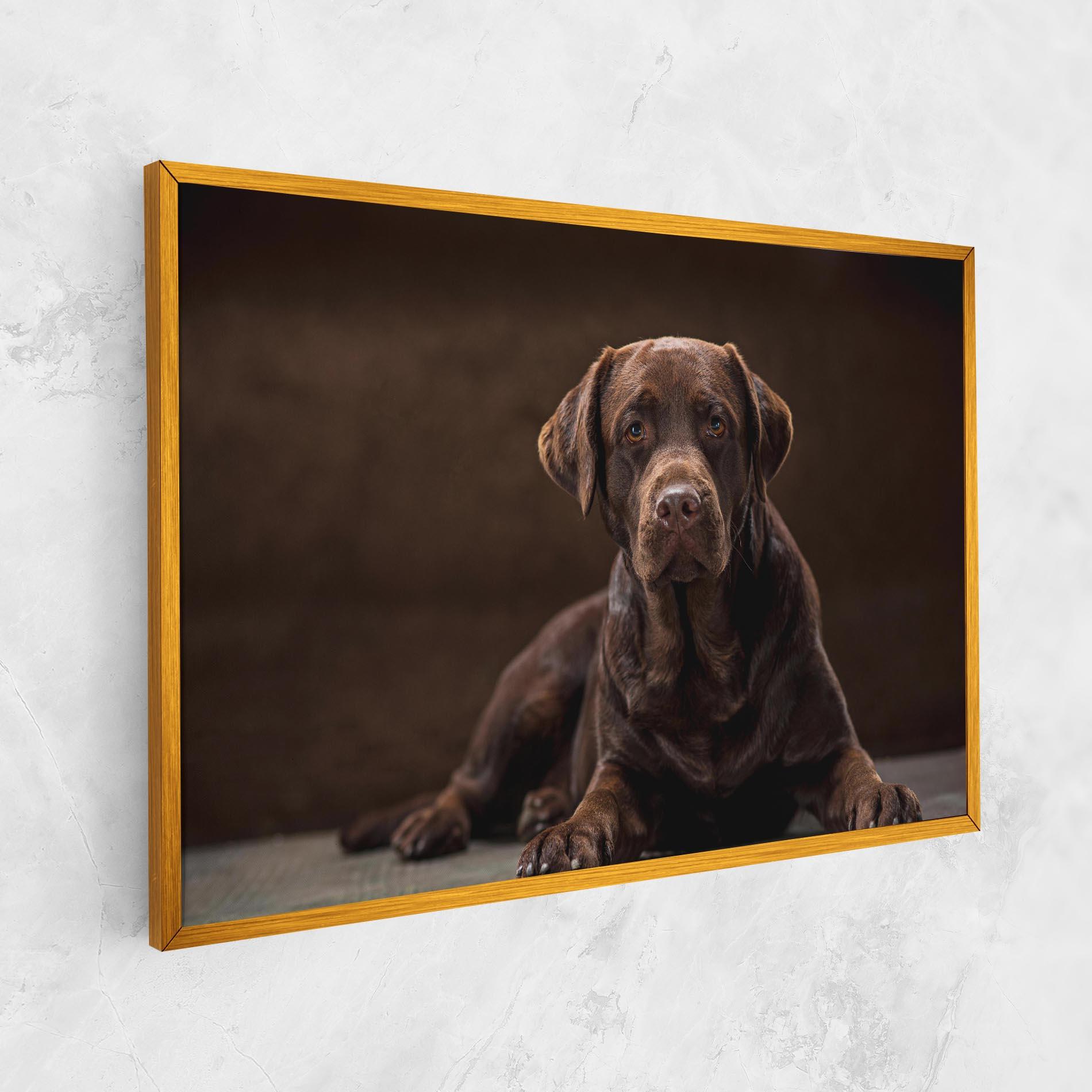 Leinwandbild Cute Brown Labrador mockup 1