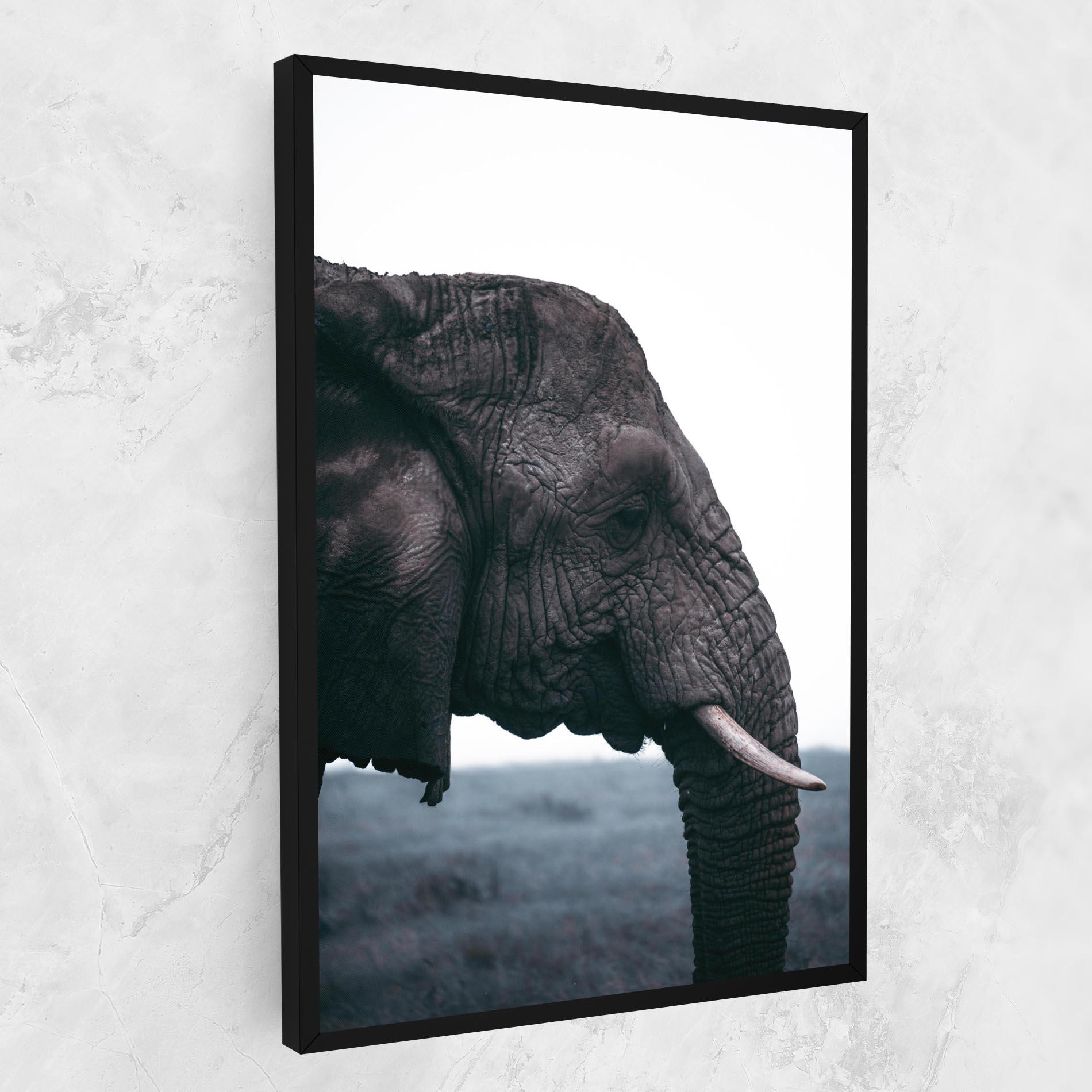 Leinwandbild Close Grey Eelephant mockup 1