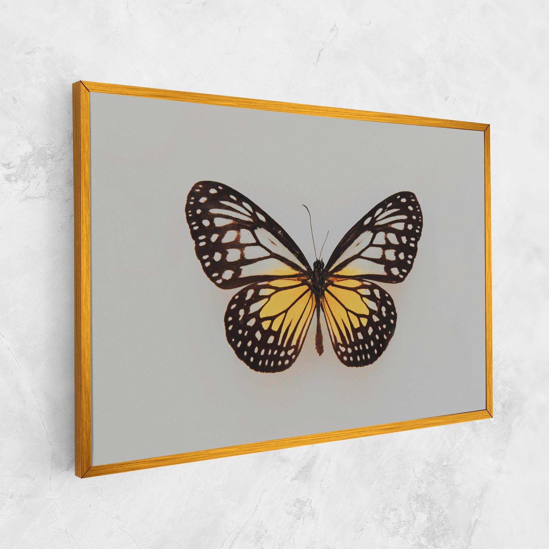 Leinwandbild Butterfly On Grey mockup 1
