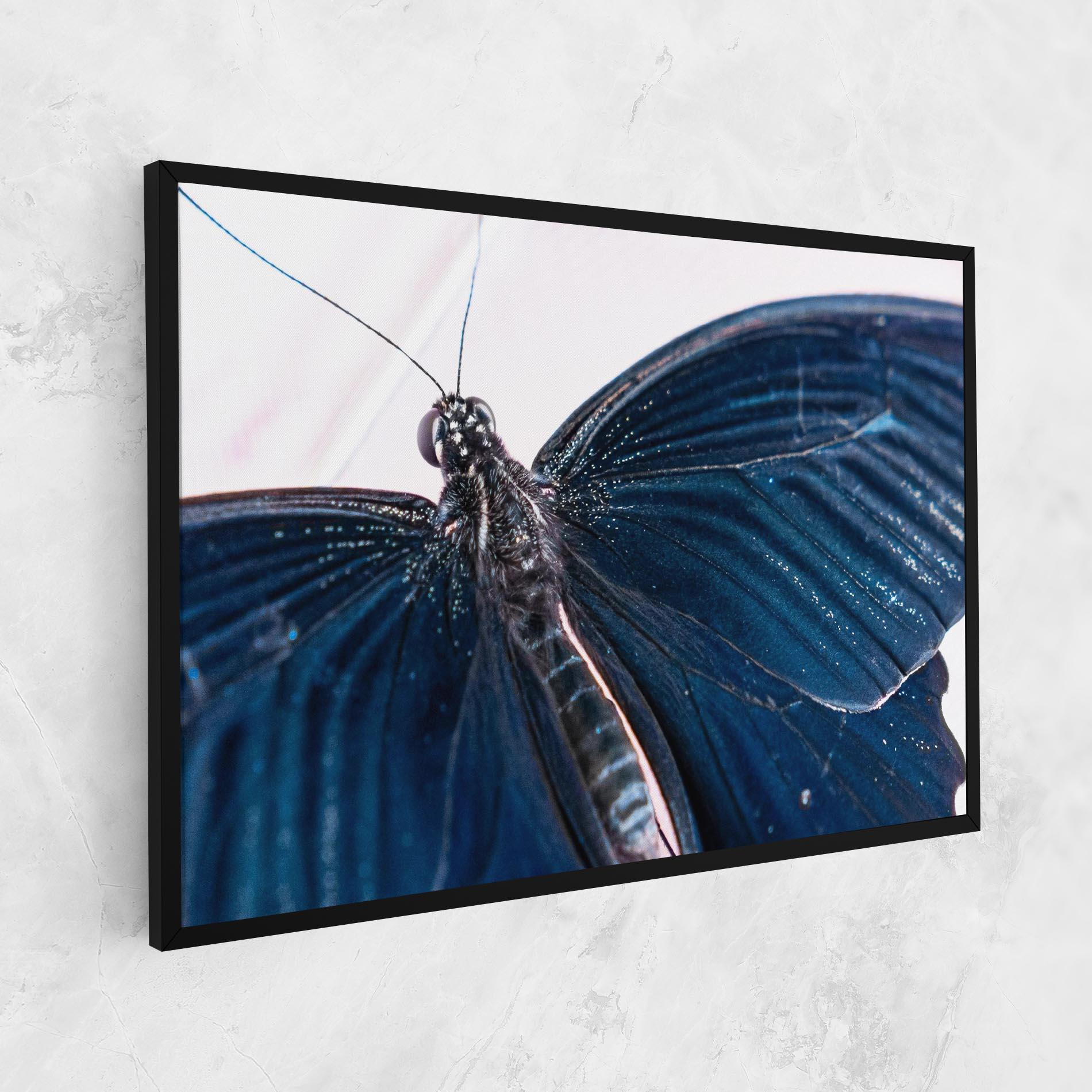 Leinwandbild Blue Butterfly mockup 1