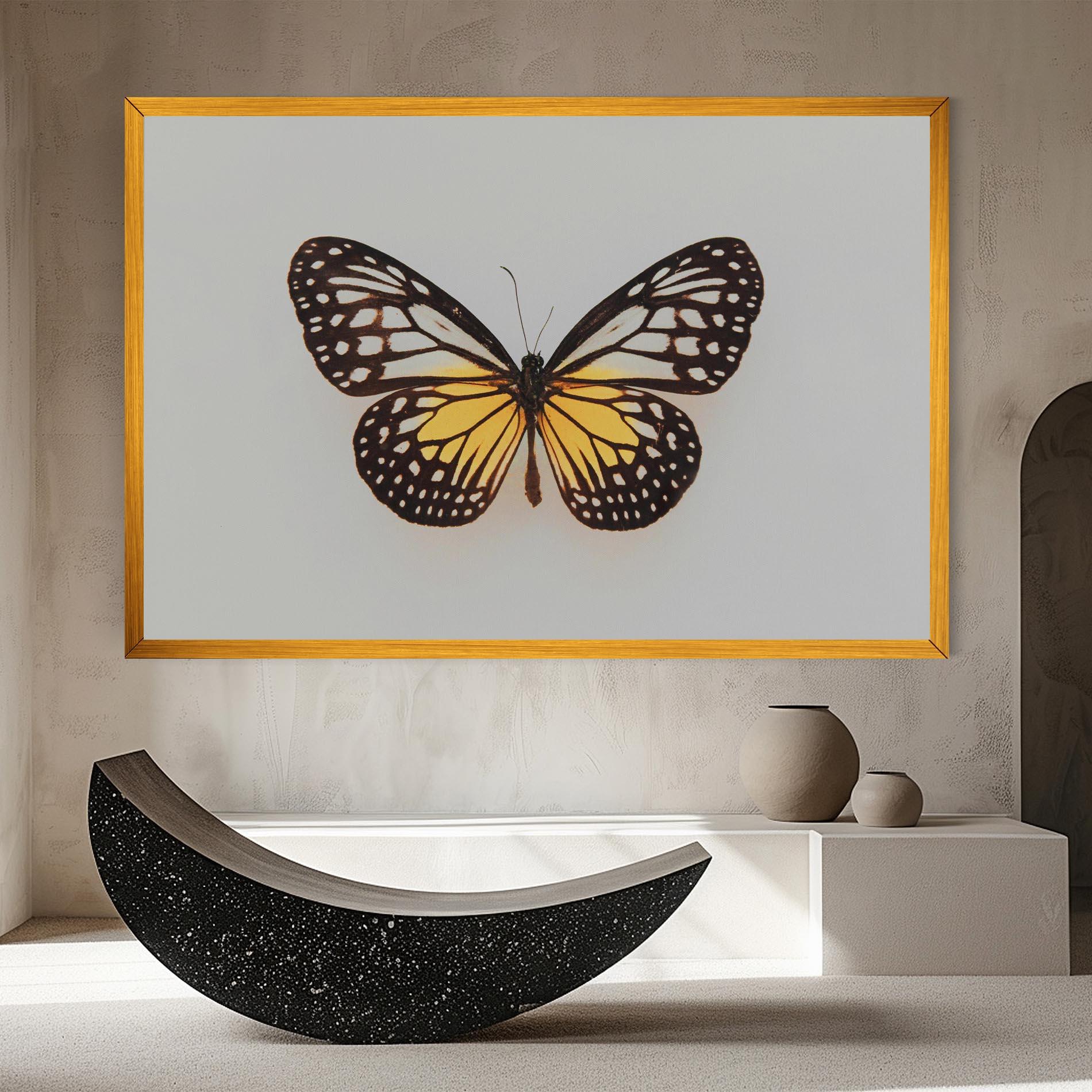 Leinwandbild Butterfly On Grey mockup 8