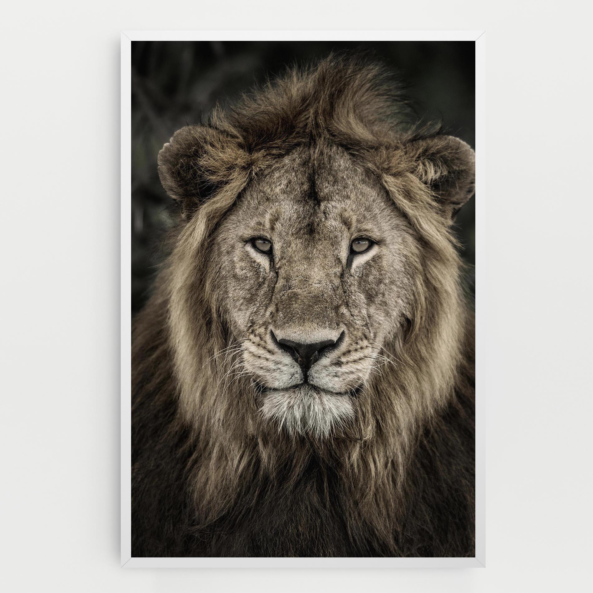 Leinwandbild Lion Close Up mockup 0