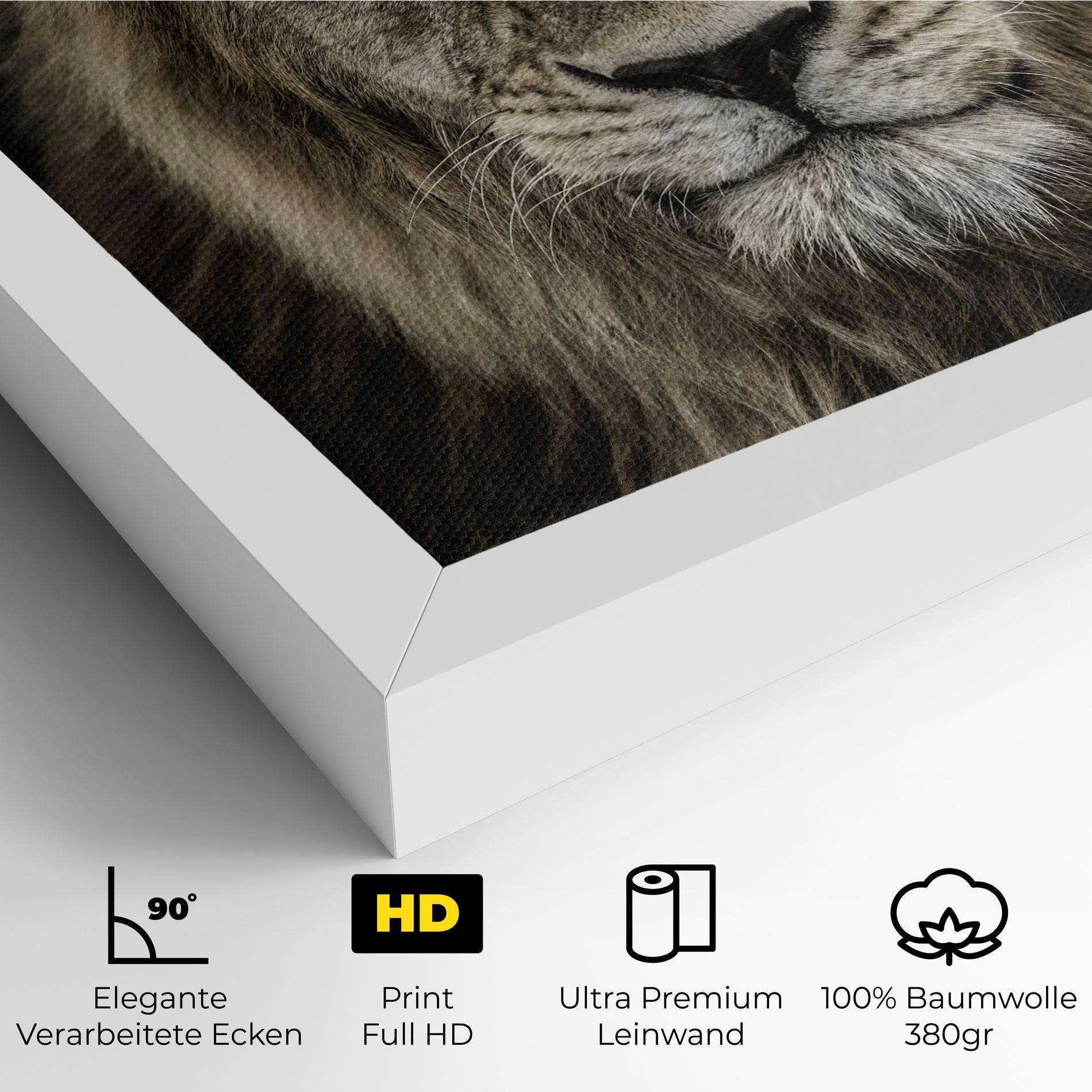 Leinwandbild Lion Close Up mockup 4