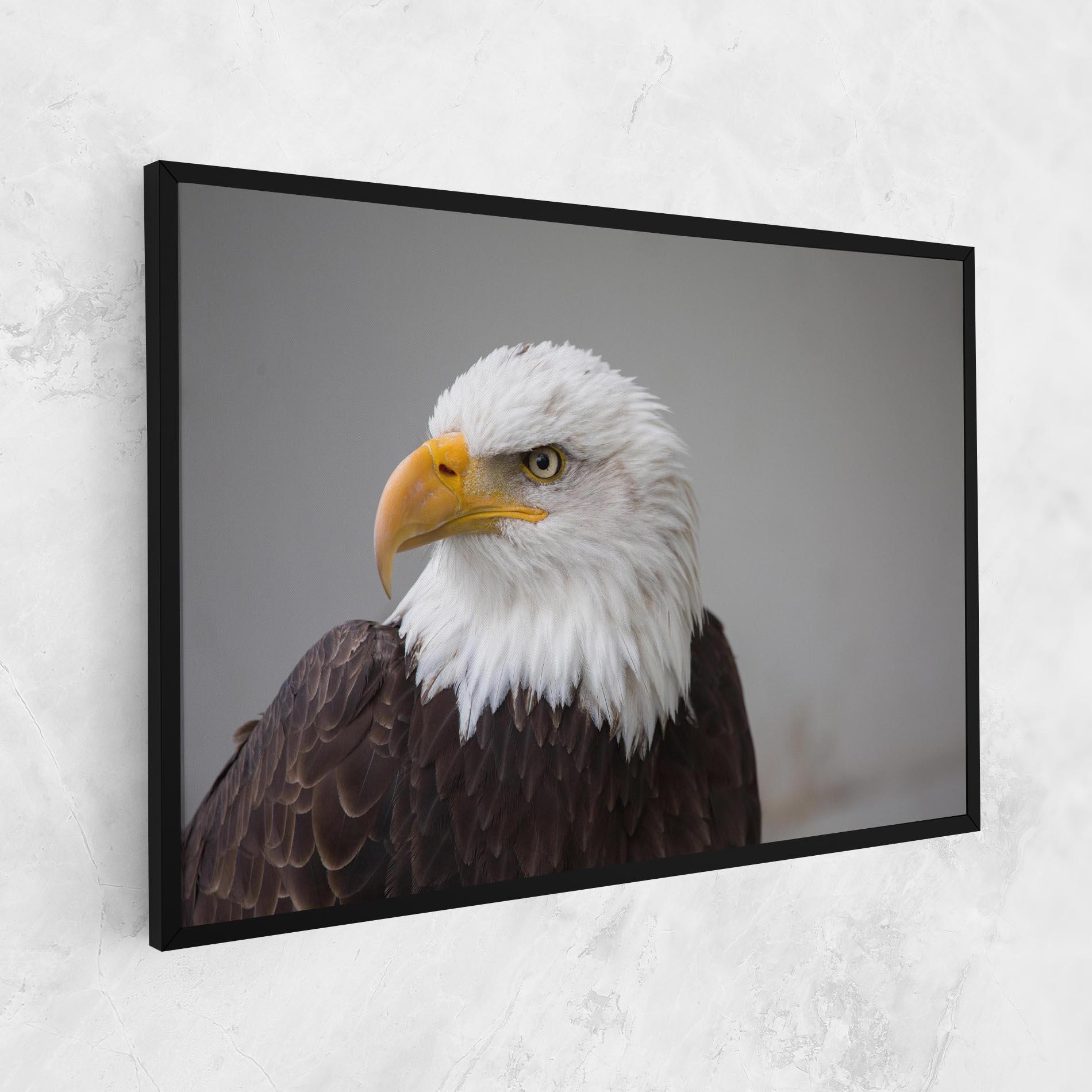 Leinwandbild Beautiful Eagle mockup 1