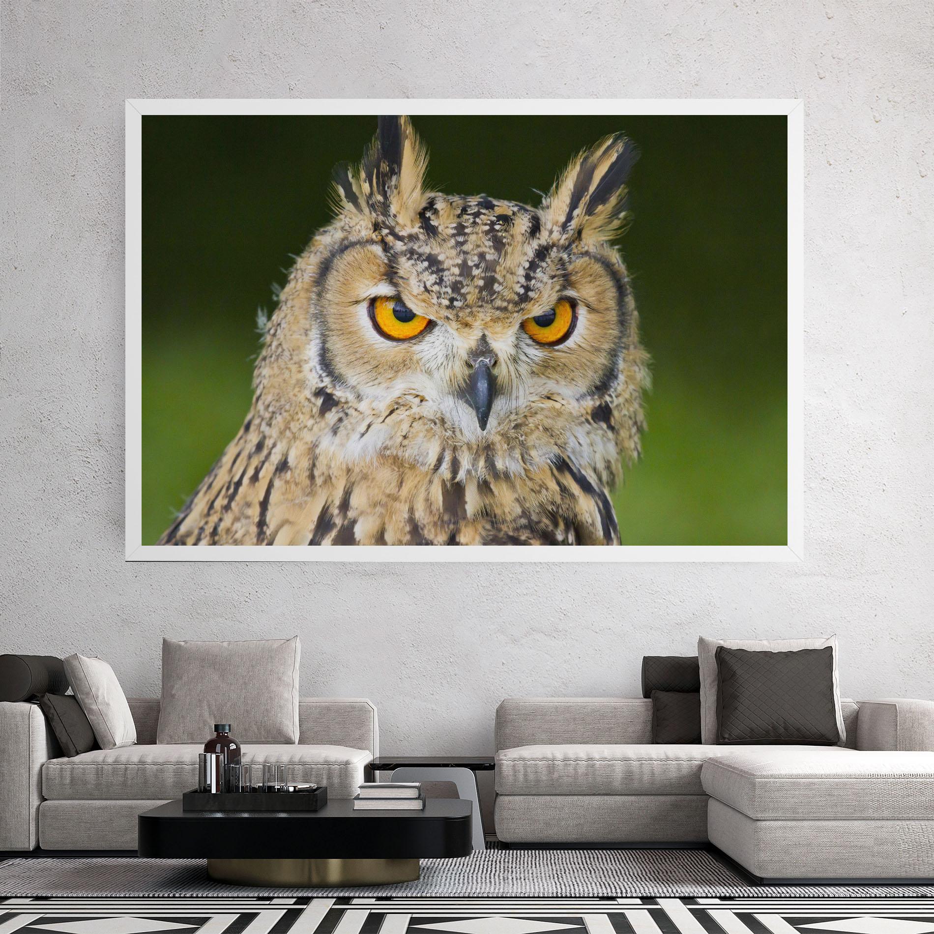 Leinwandbild Angry Owl mockup 2