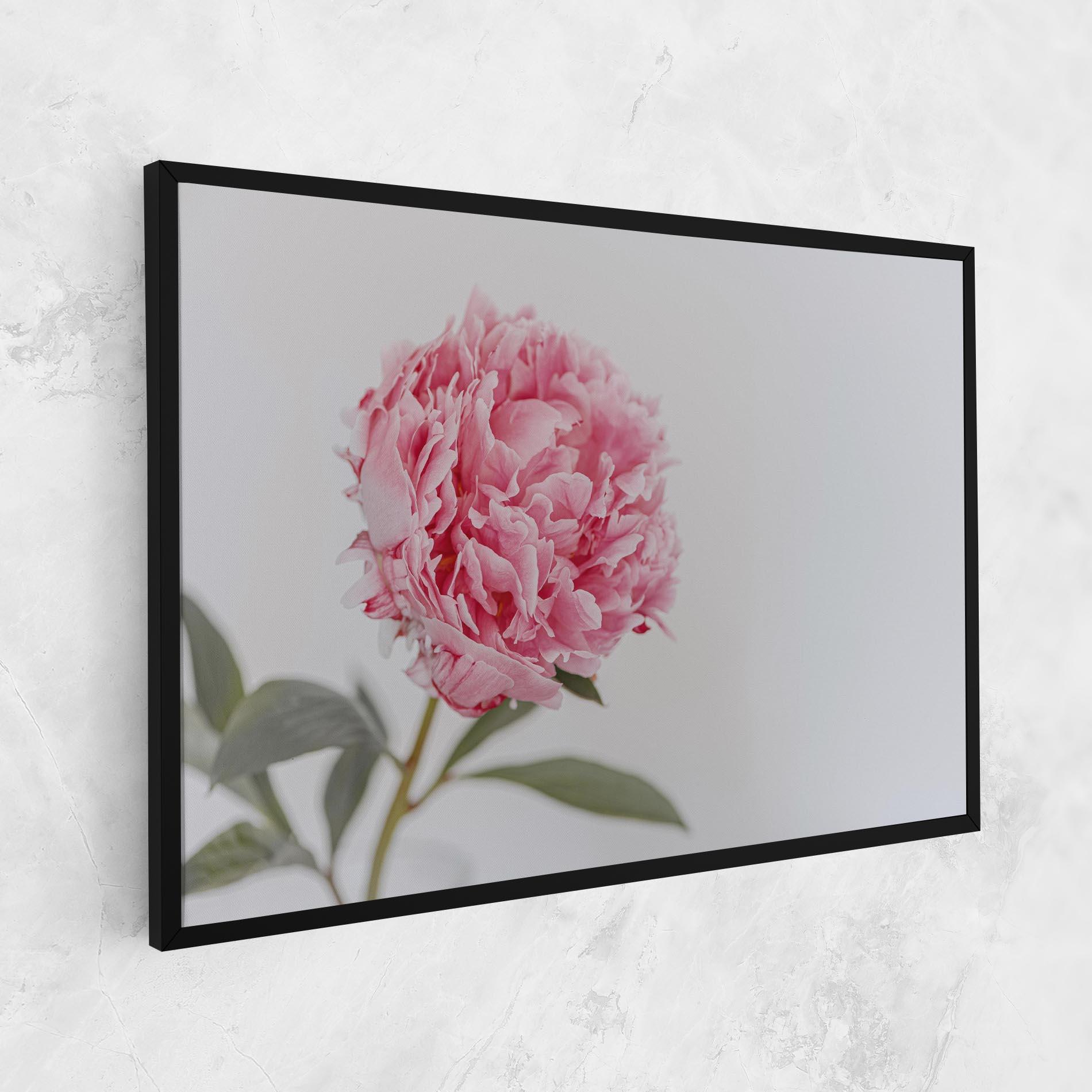 Leinwandbild One Peony mockup 1