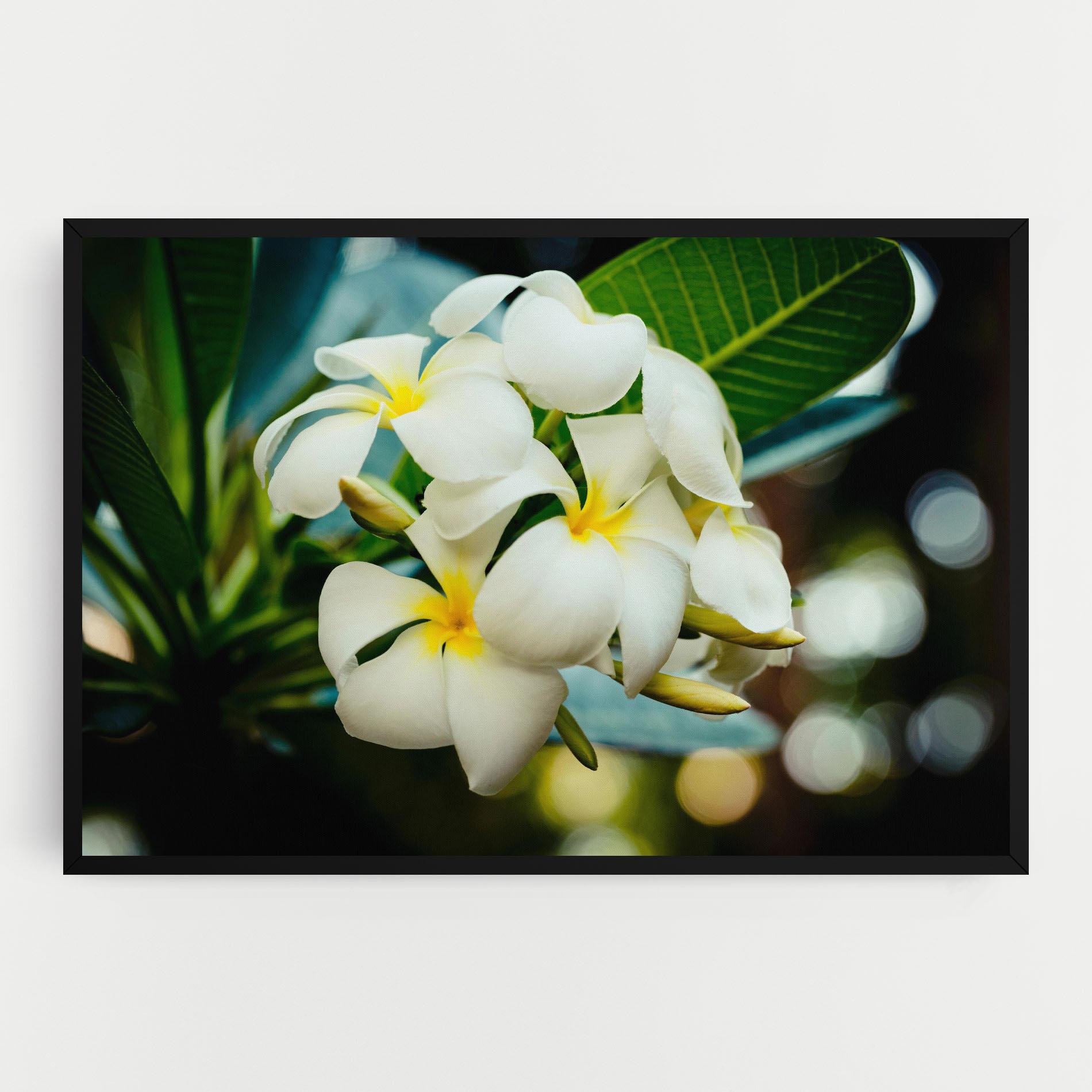 Leinwandbild Beautiful White Exotic mockup 0
