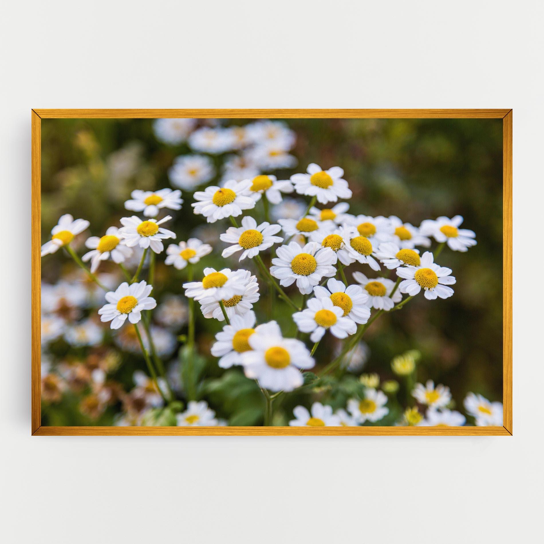 Leinwandbild Flowers Garden mockup 0