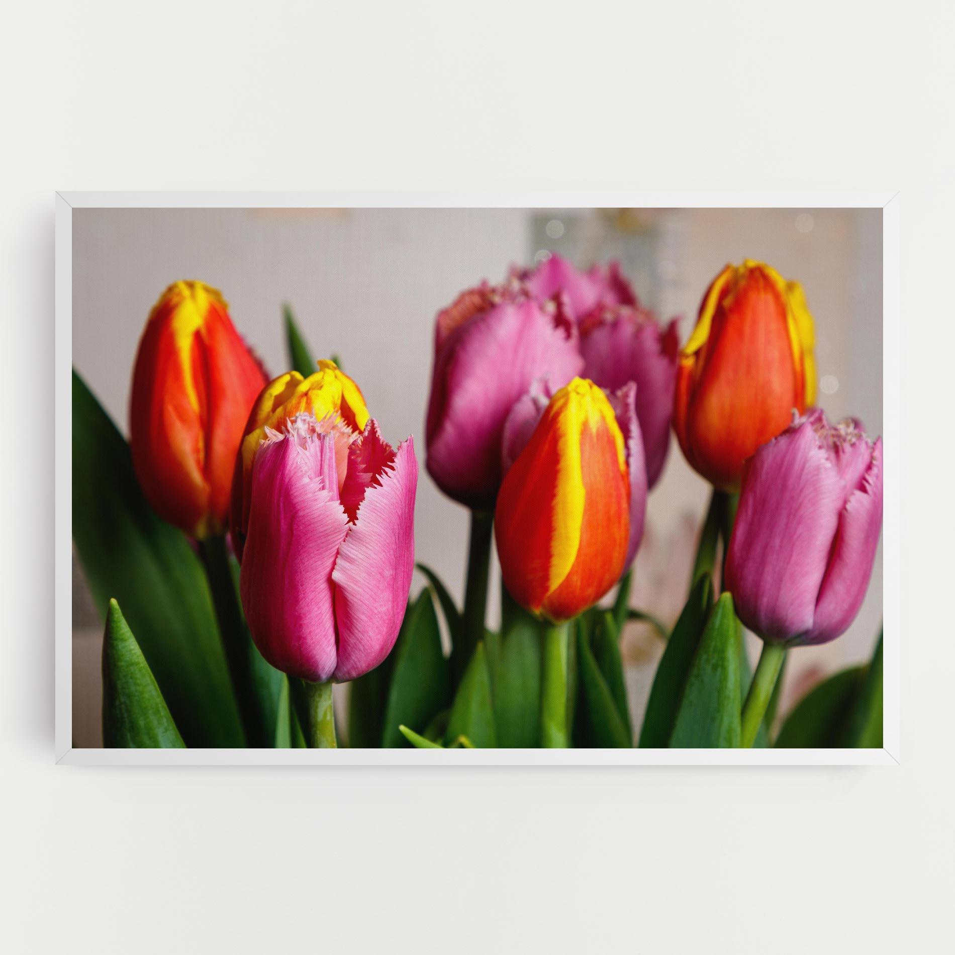 Leinwandbild Pink Orange Tulips mockup 0