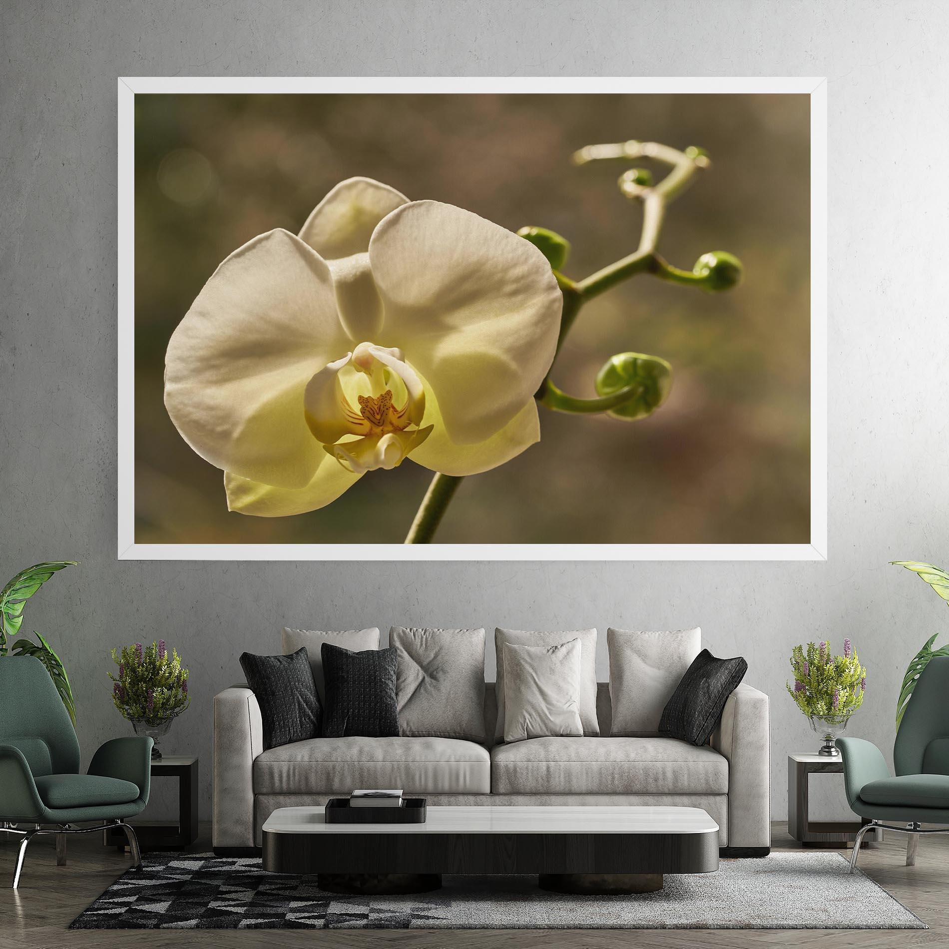 Leinwandbild Pastel Yellow Orchid In Garden mockup 7