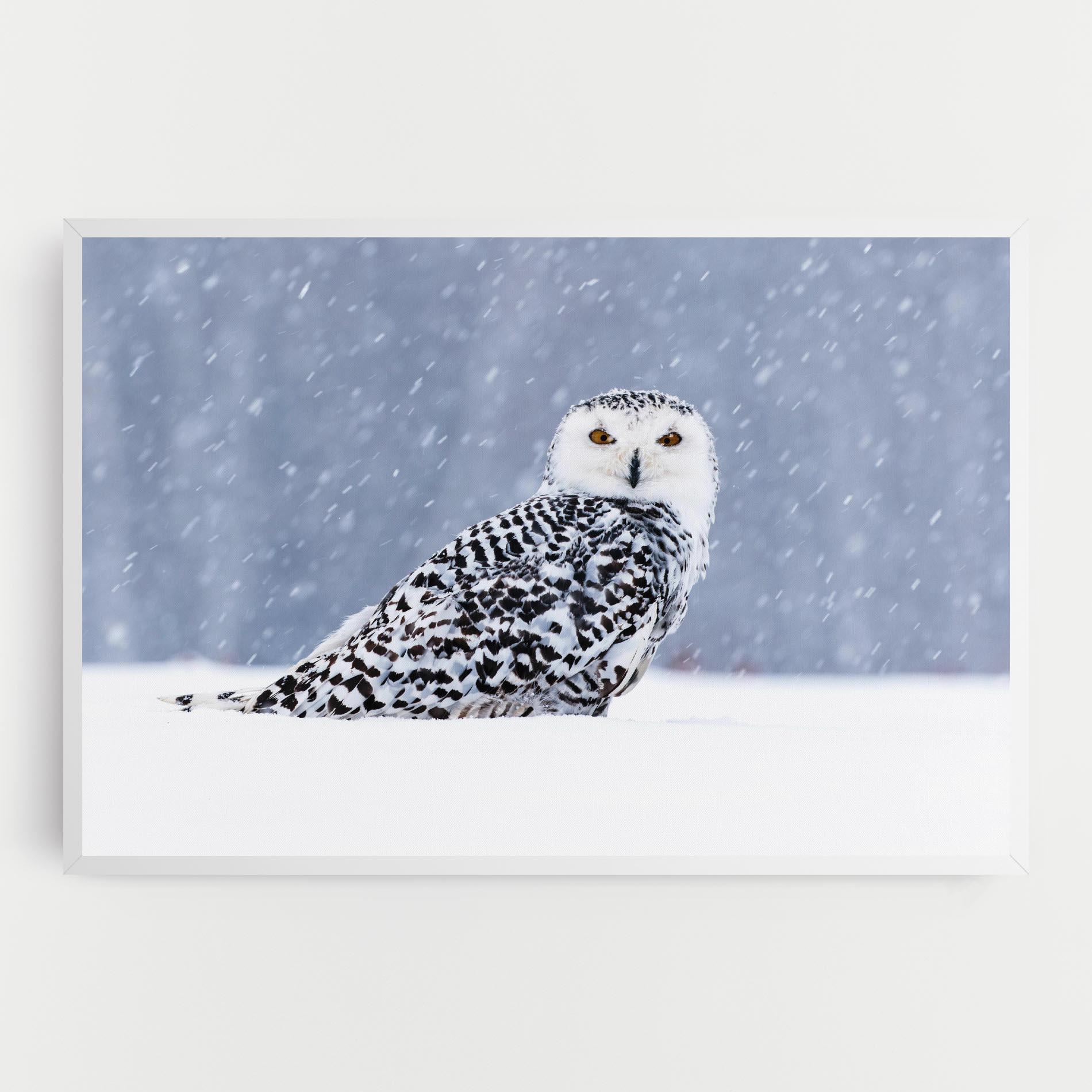 Leinwandbild Snow Owl mockup 0