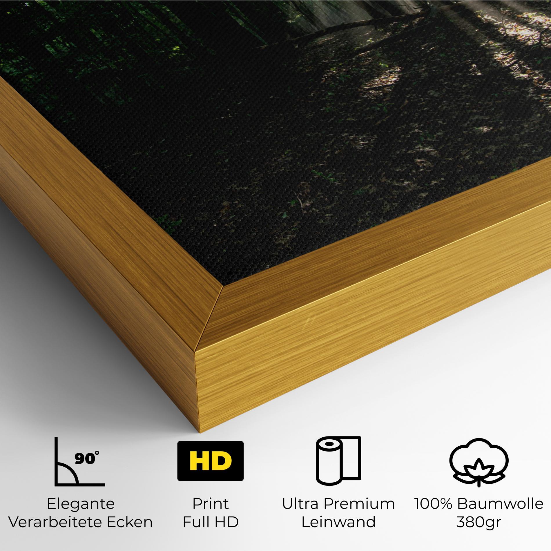 Leinwandbild Forest Sun Light mockup 4