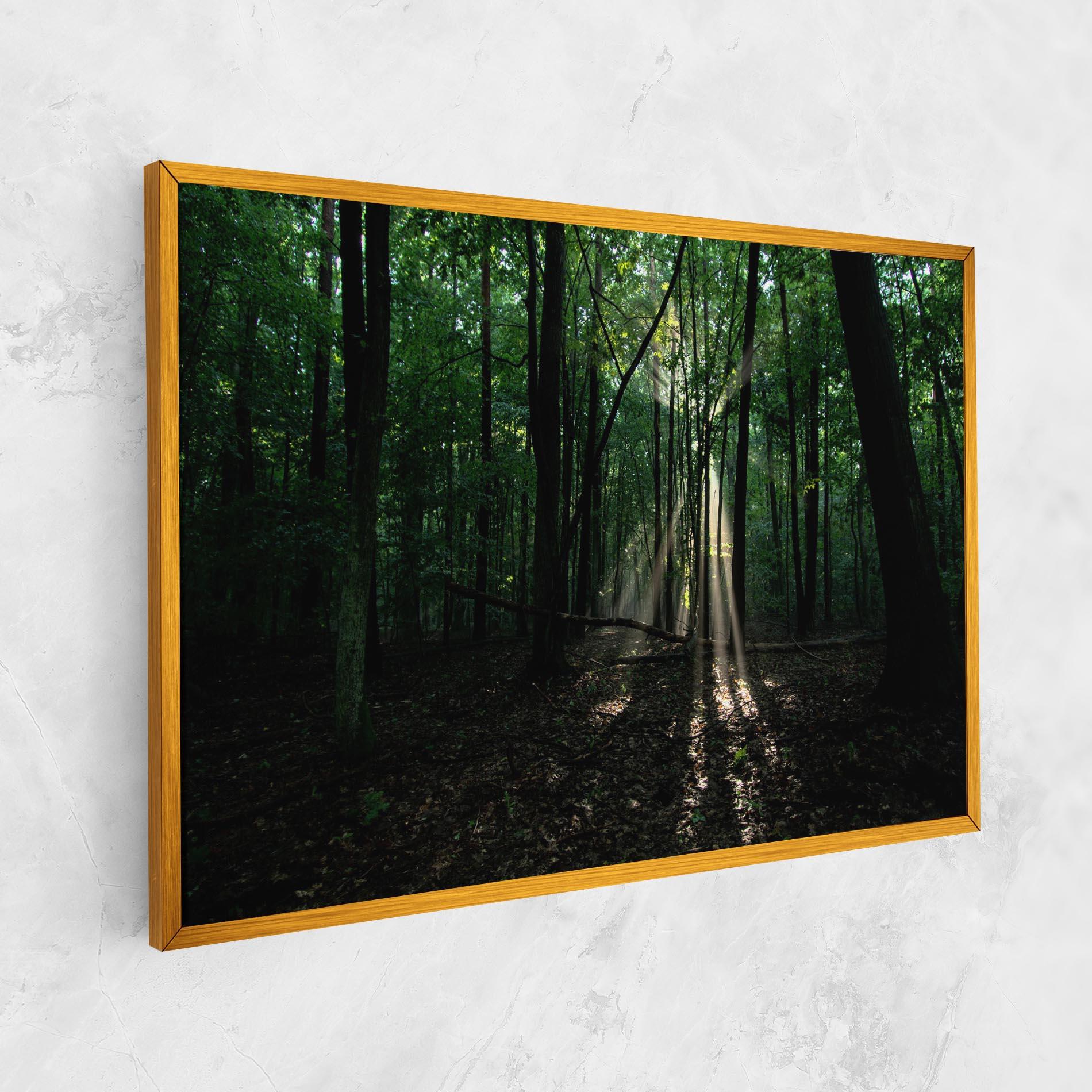 Leinwandbild Forest Sun Light mockup 1