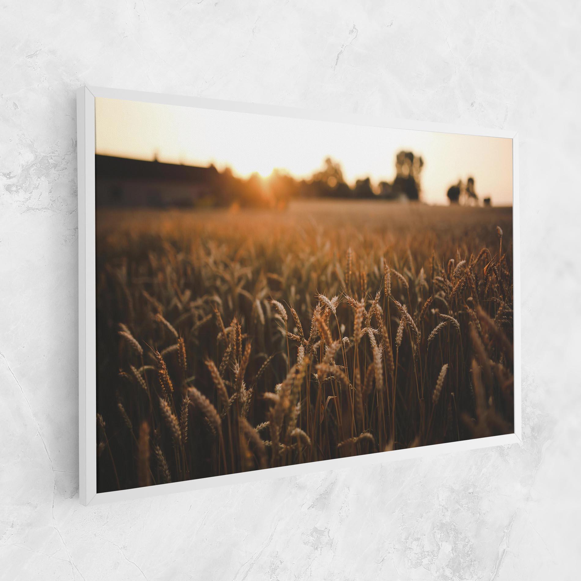 Leinwandbild Summer Field mockup 1