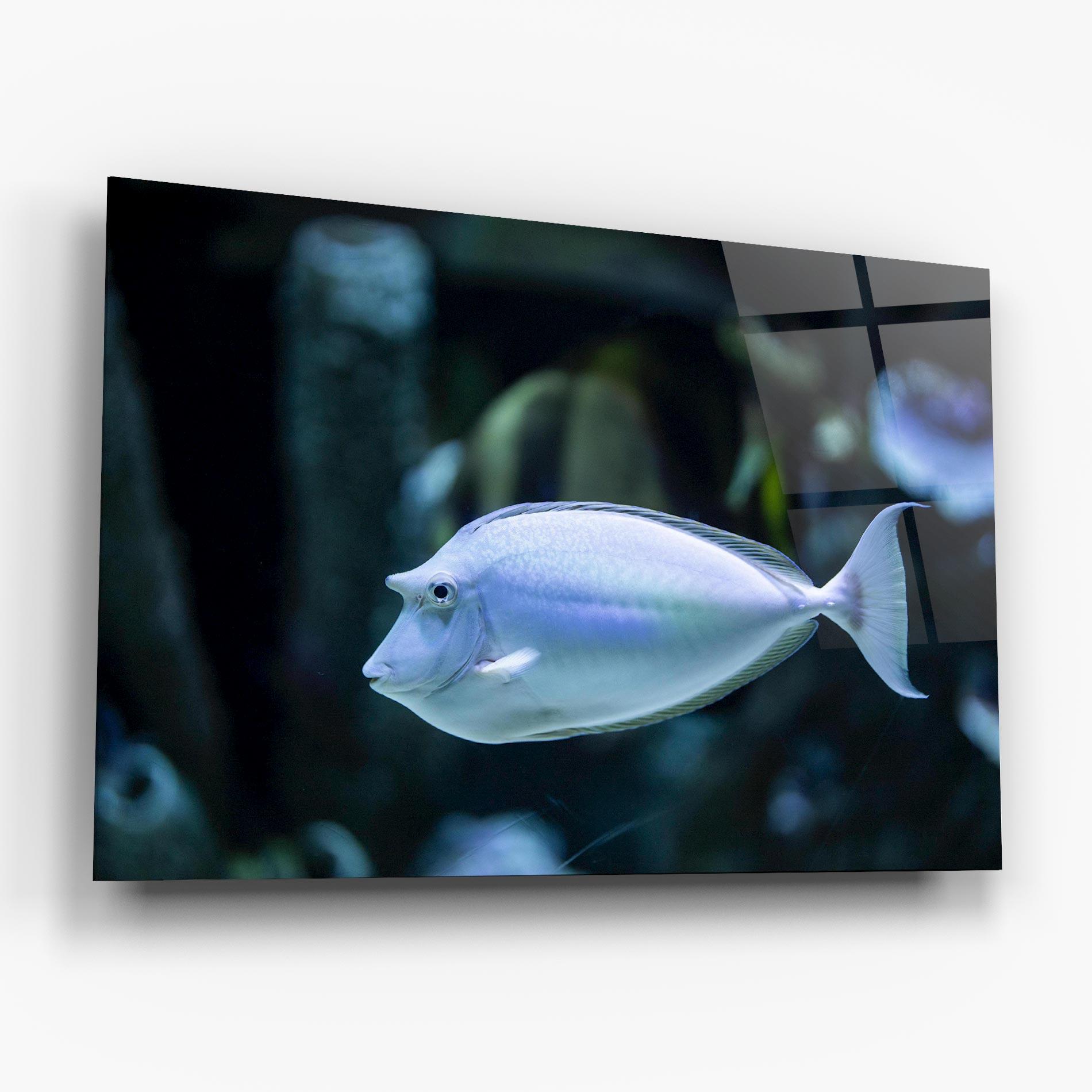 Glasbild Funny Face Fish mockup 6