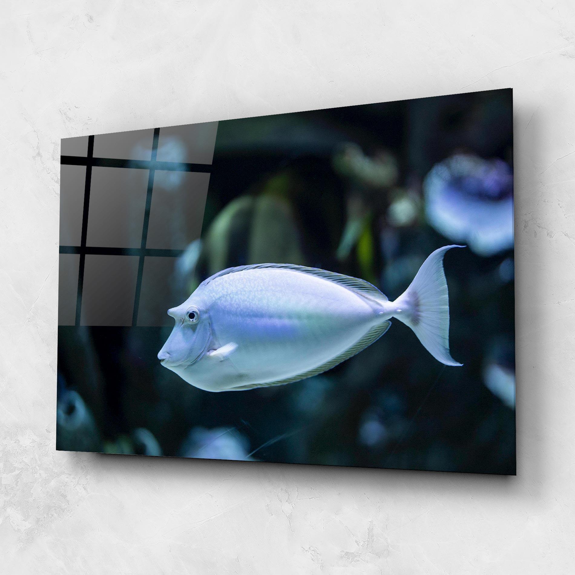 Glasbild Funny Face Fish mockup 1