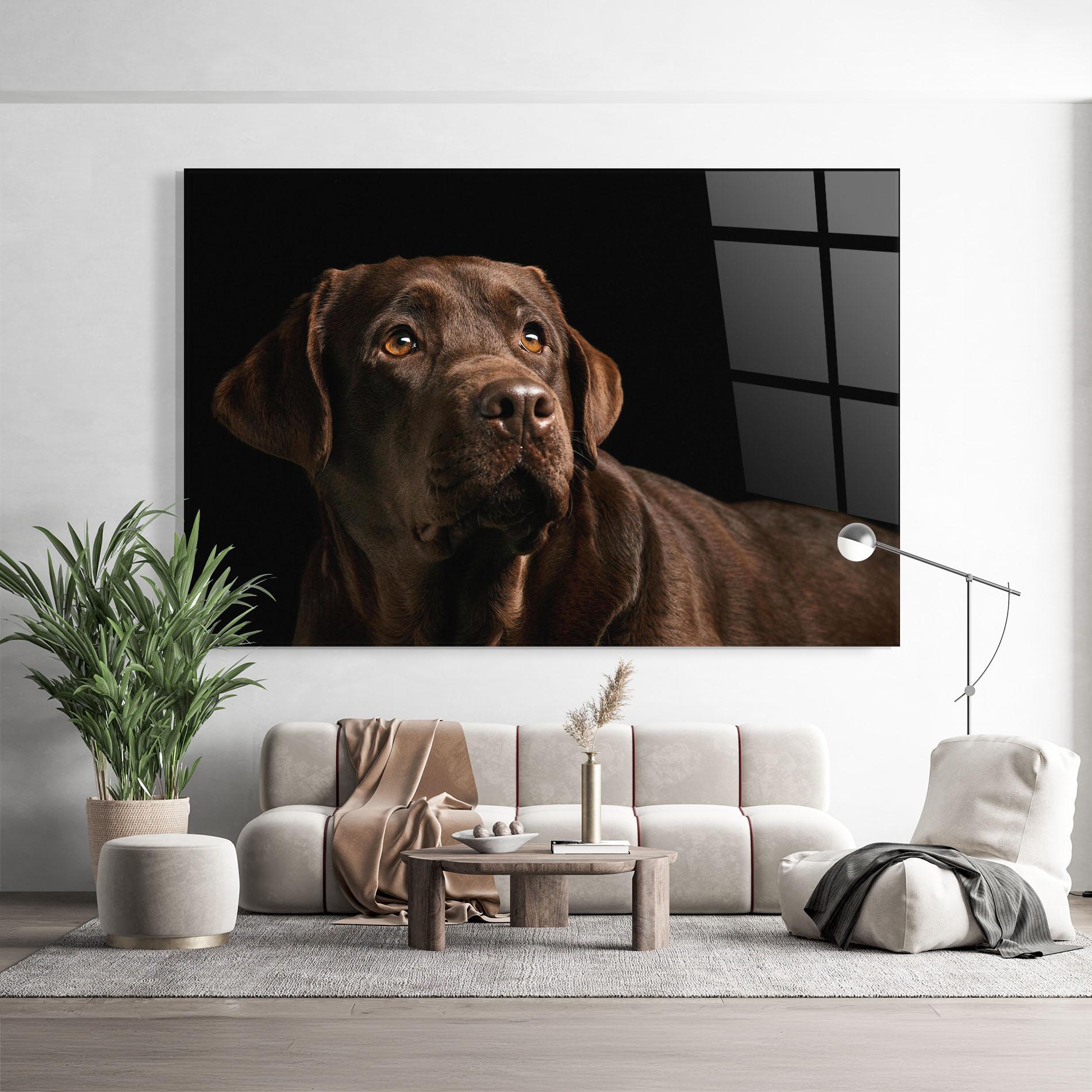 Glasbild Brown Labrador mockup 9