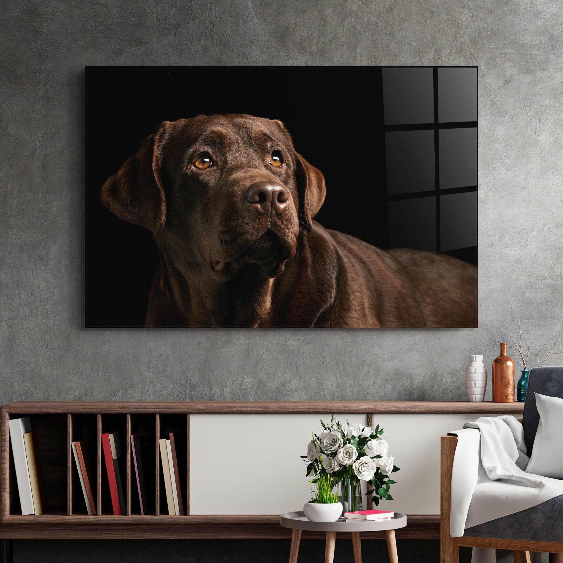 Glasbild Brown Labrador mockup 2