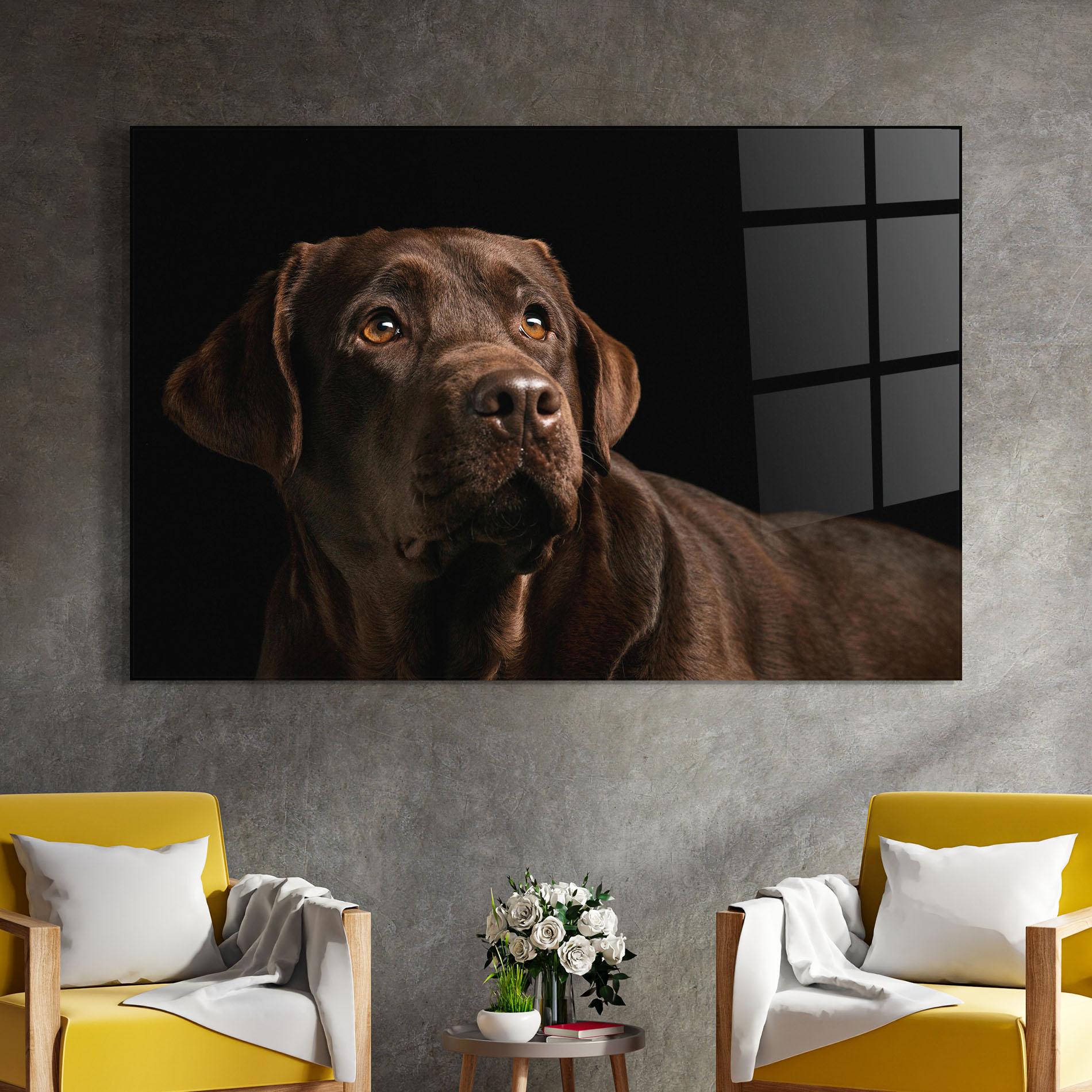 Glasbild Brown Labrador mockup 4