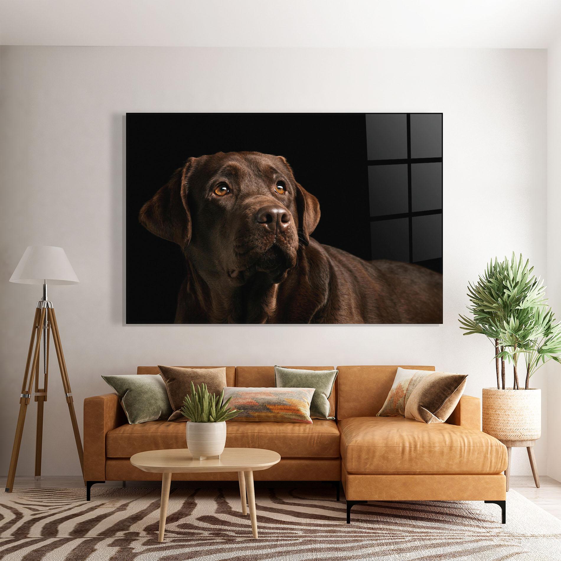 Glasbild Brown Labrador mockup 7