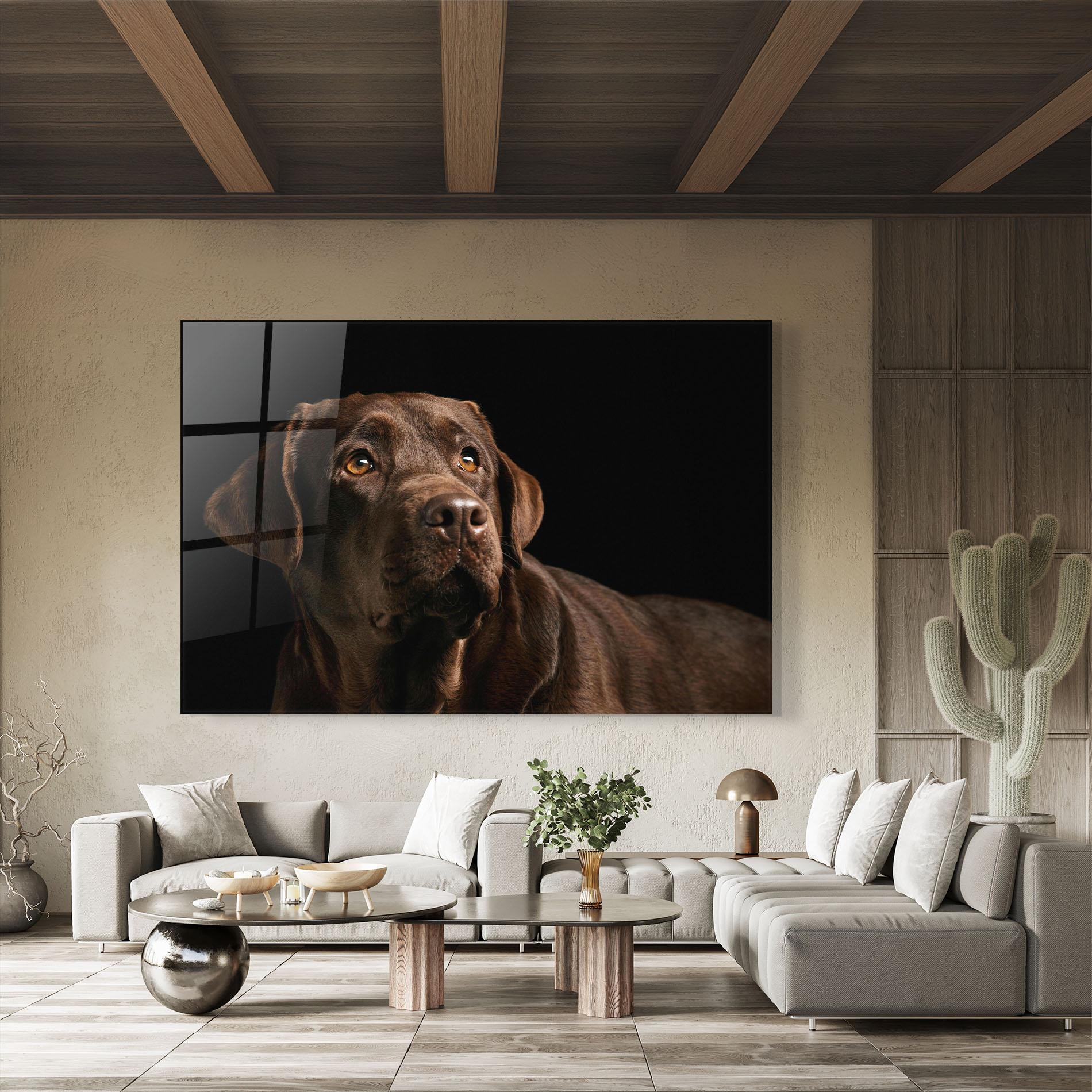 Glasbild Brown Labrador mockup 8