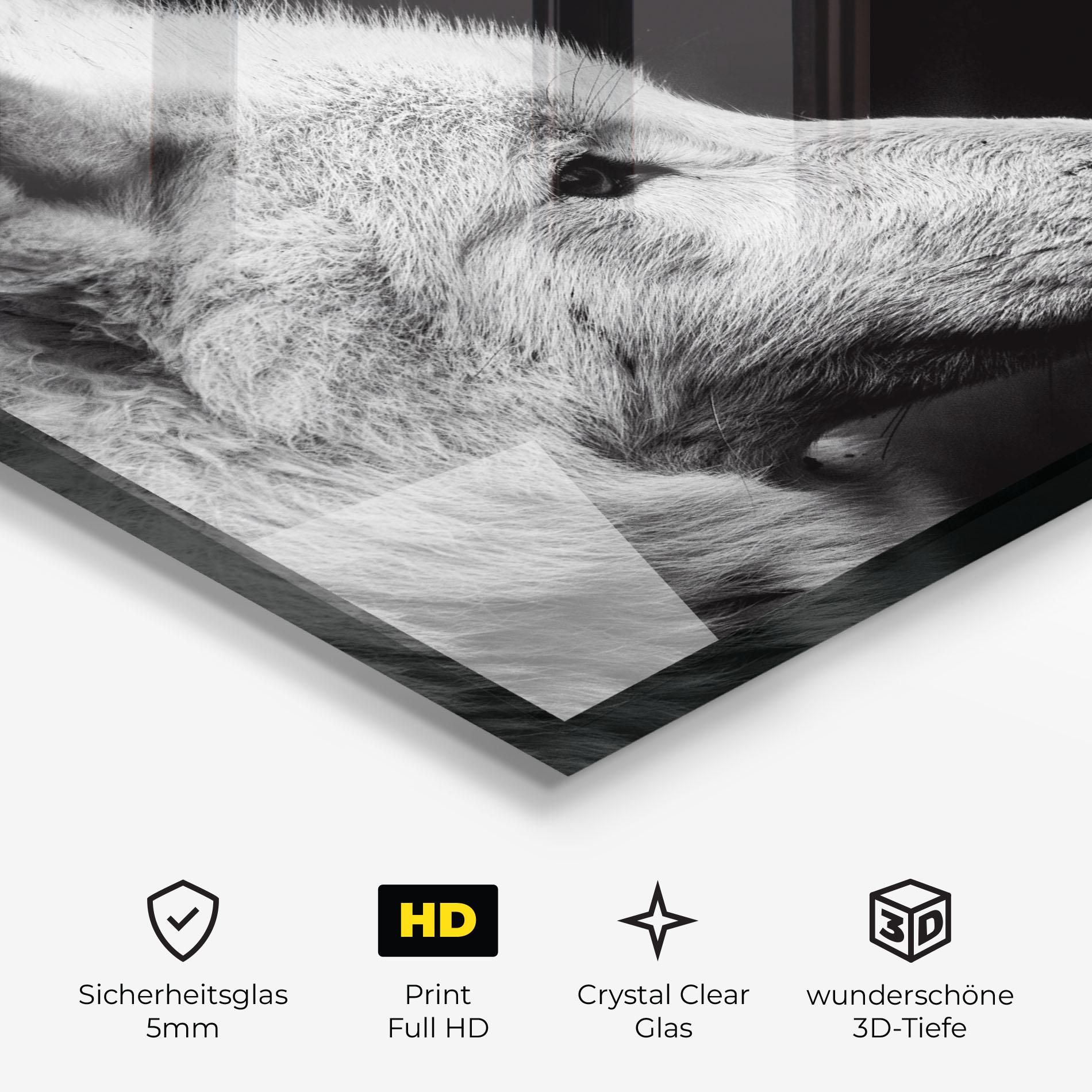 Glasbild Grey Wolf mockup 3