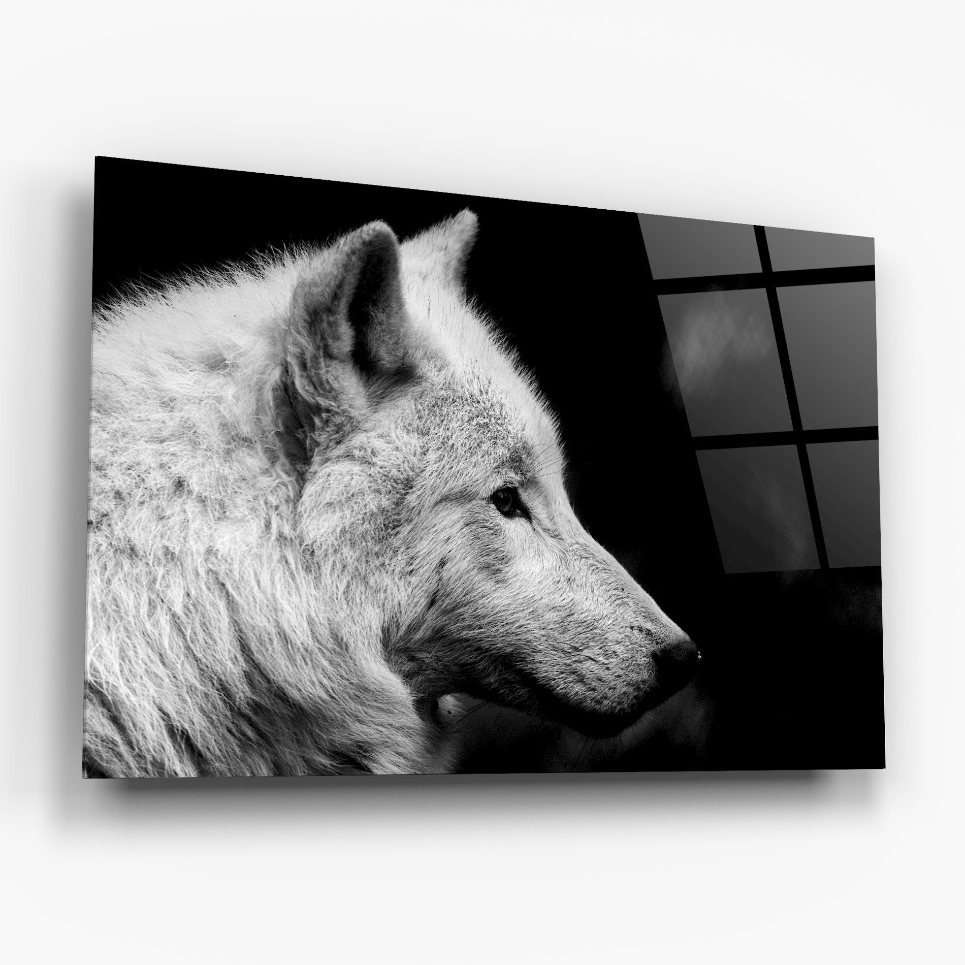 Glasbild Grey Wolf mockup 6