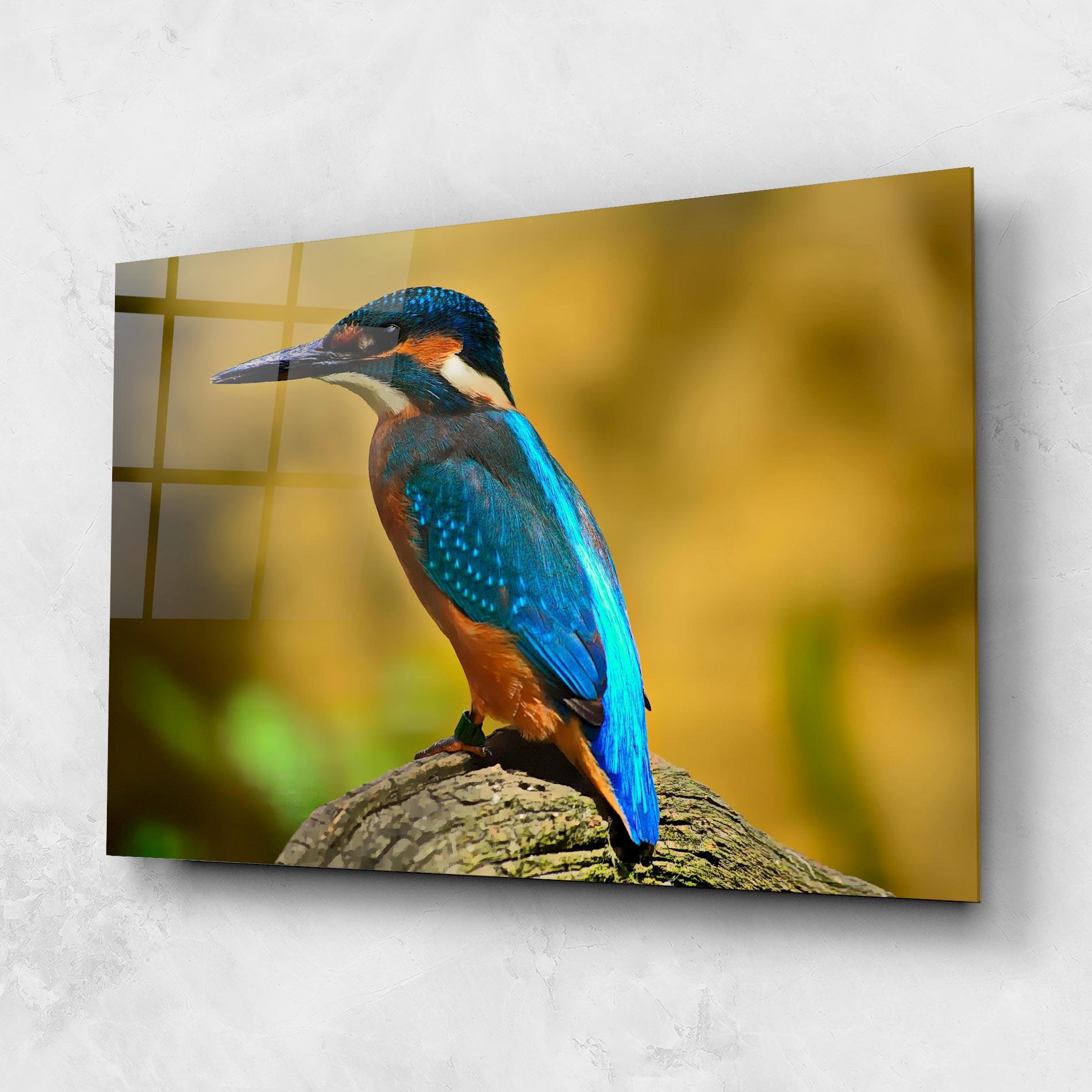 Glasbild Cute Blue Bird mockup 1