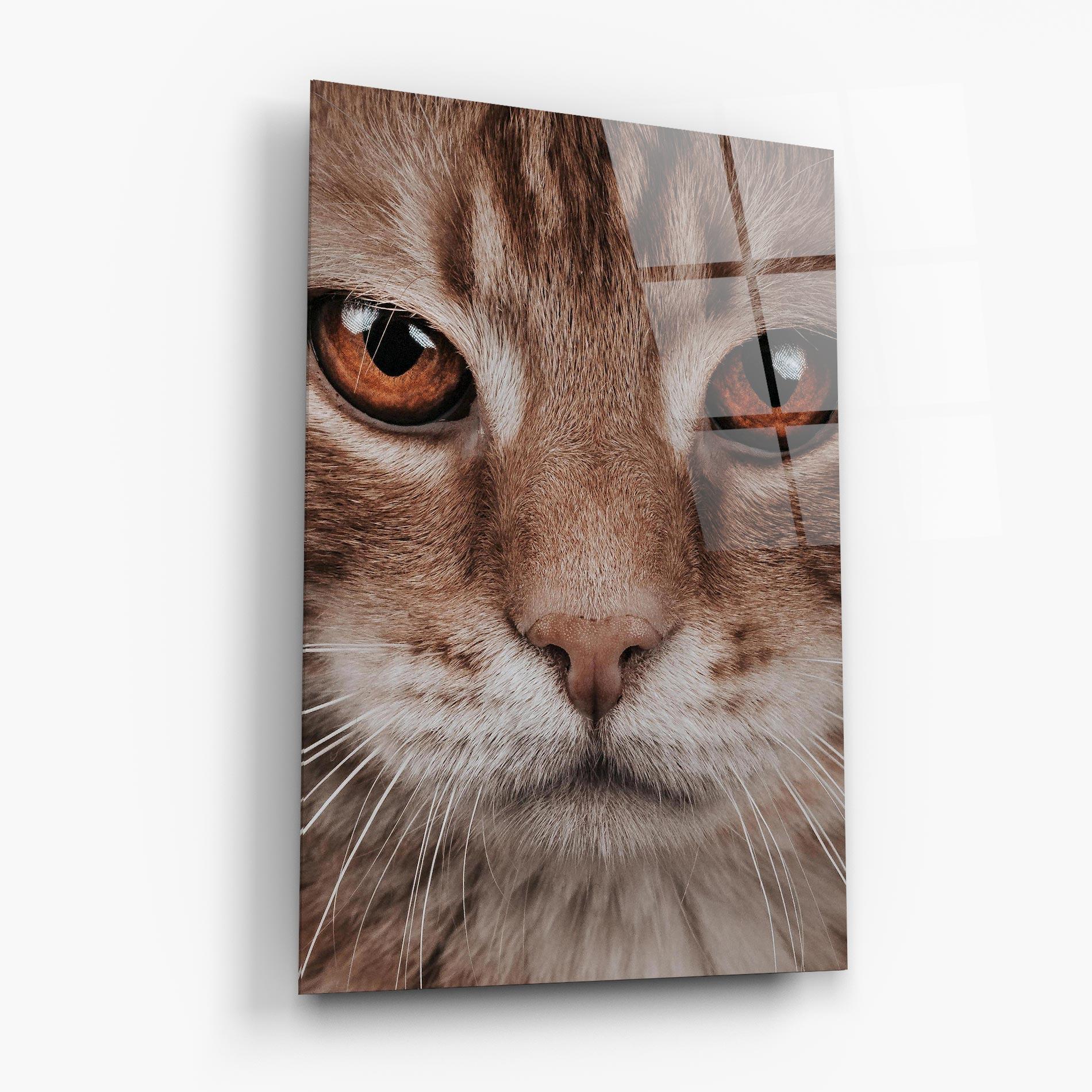 Glasbild Fire Eyes Cat mockup 6