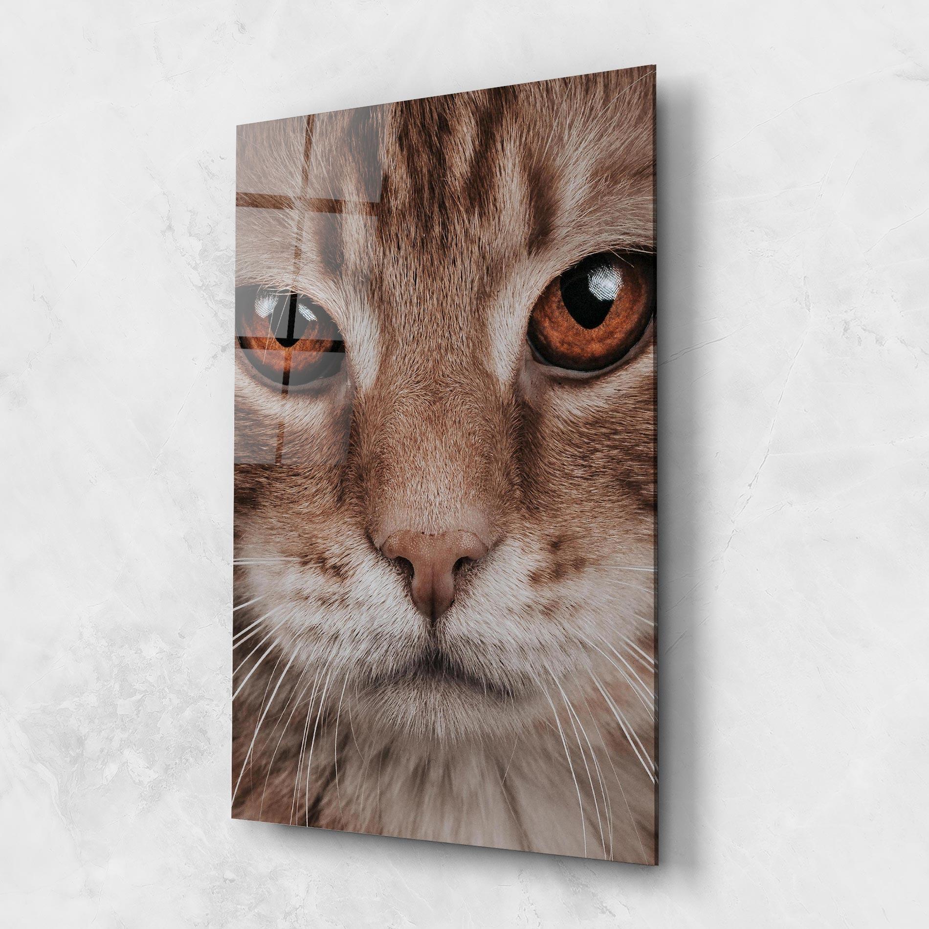 Glasbild Fire Eyes Cat mockup 1