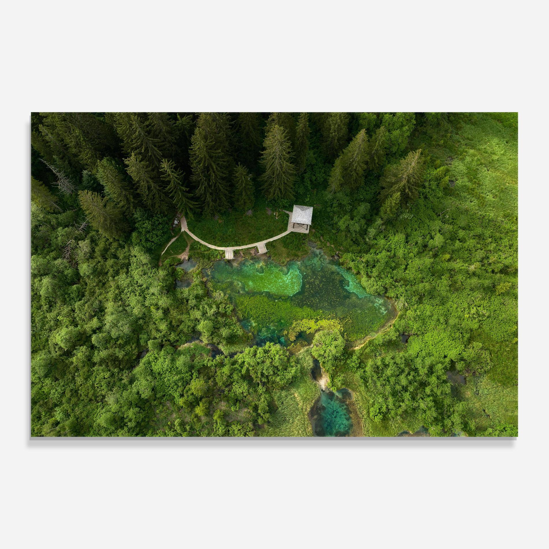 Glasbild Forest Pretty View mockup 0