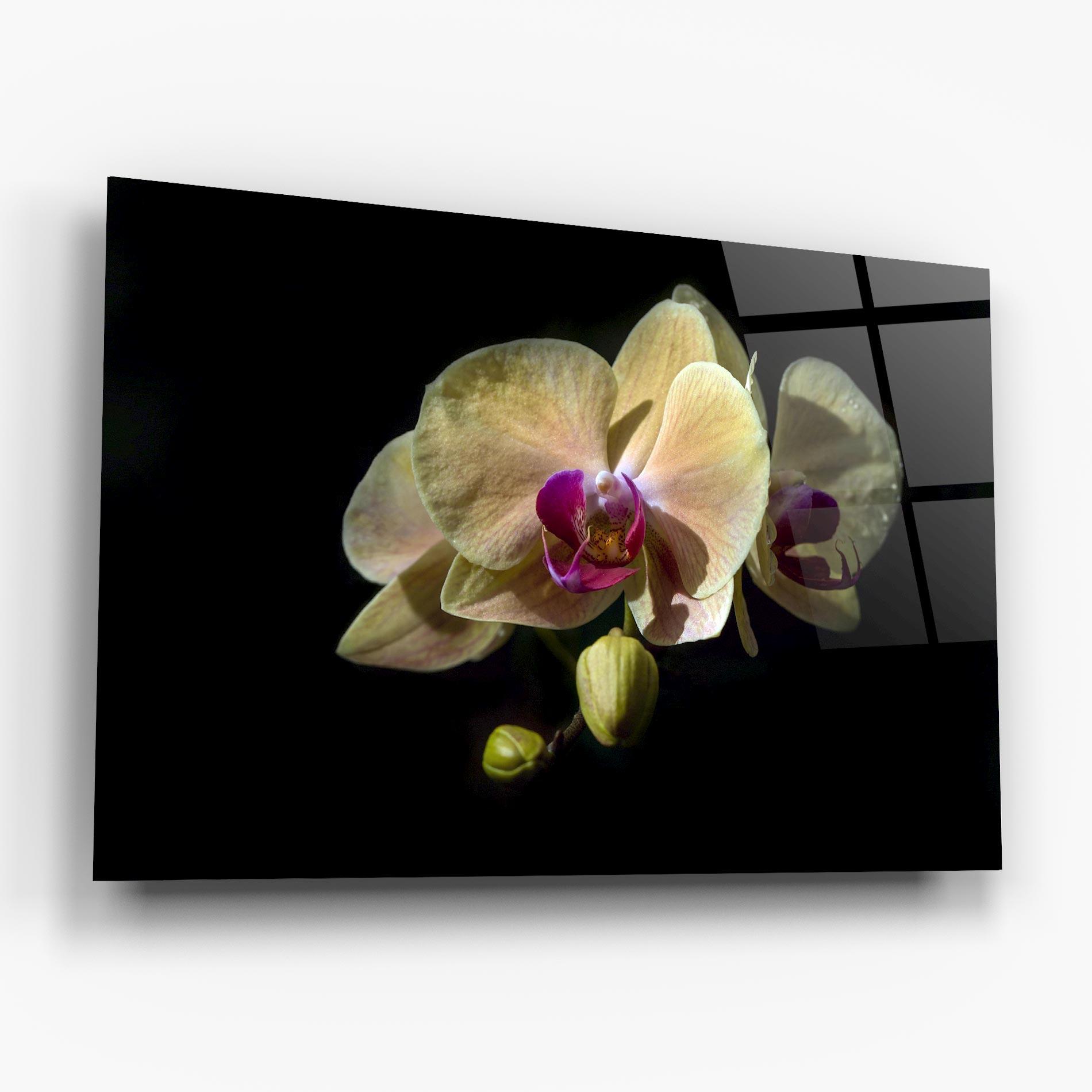Glasbild Pastel Yellow Orchids mockup 6