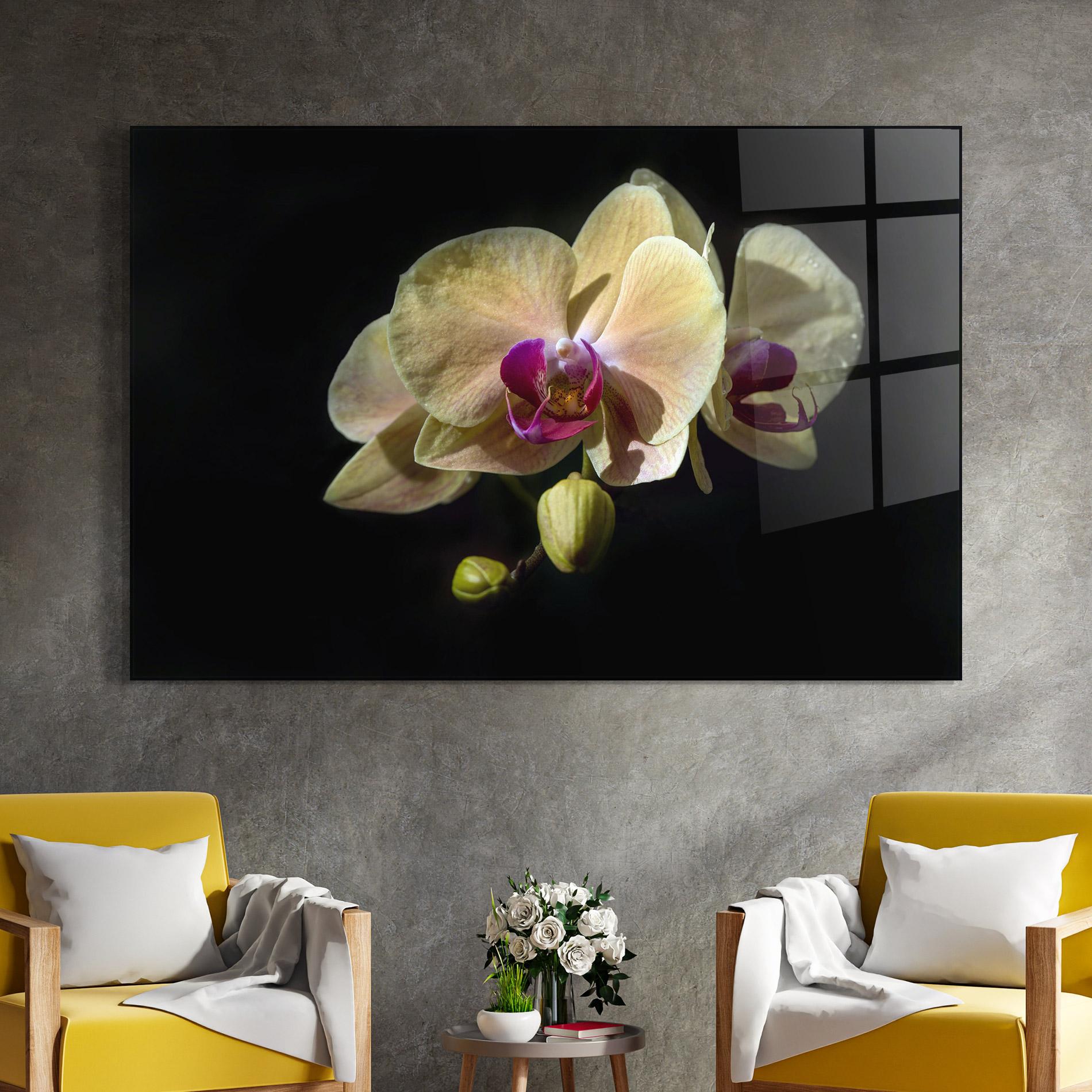 Glasbild Pastel Yellow Orchids mockup 4
