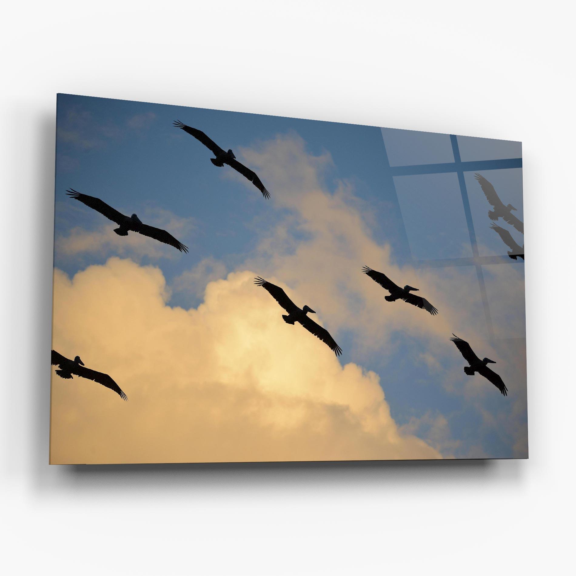 Glasbild Bird Shilouette Cloud mockup 6